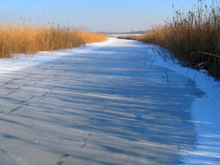 Бугаївка з panoramio.com - Бугаївка