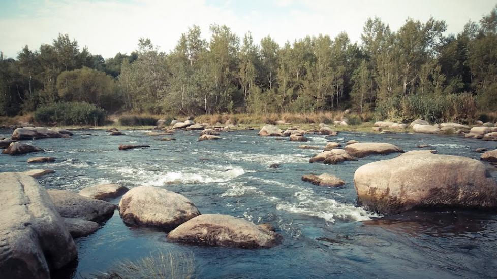Куріпчине з panoramio.com - Kuripchyne