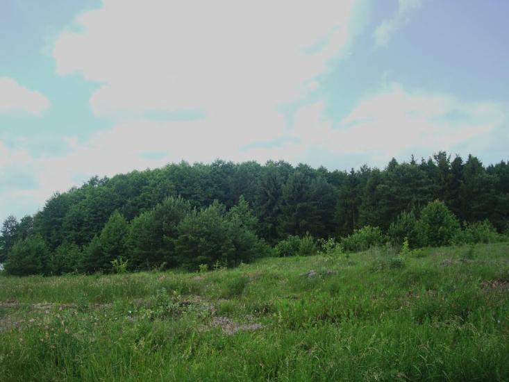 Стуфчинці з panoramio.com - Стуфчинцы