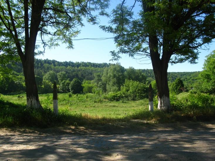Червона Гребля з panoramio.com - Попова Гребля