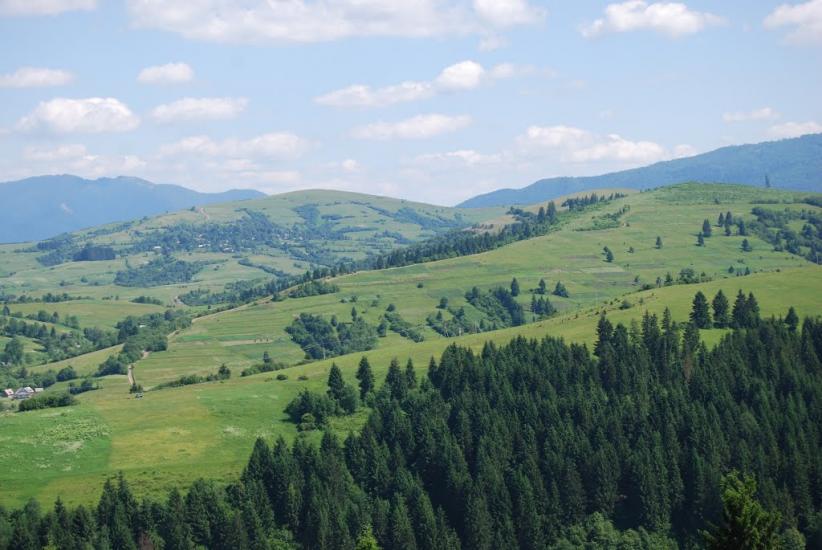 Річка з panoramio.com - Речка