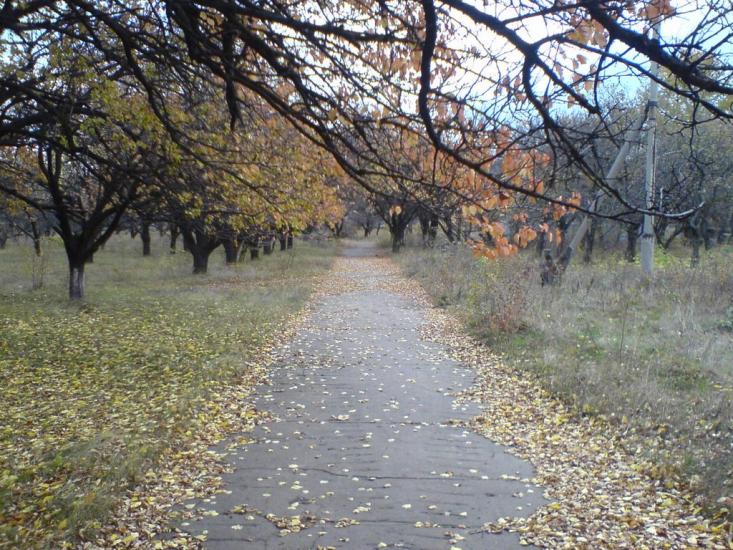 Суходільськ з panoramio.com - Суходольск