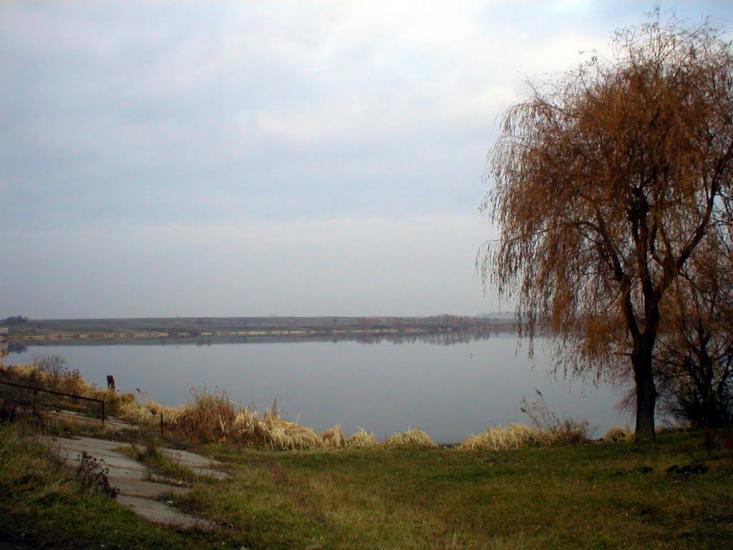 Рогізне з panoramio.com - Рогозное
