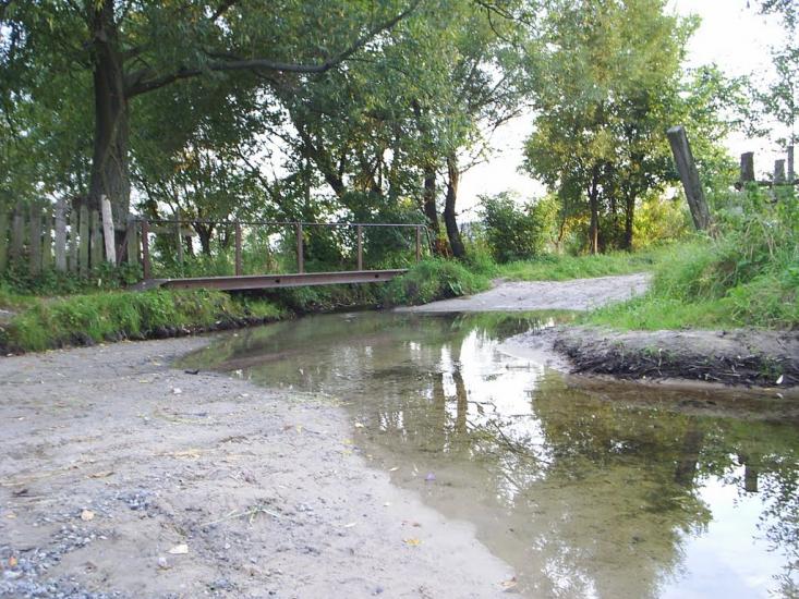 Вишевичі з panoramio.com - Vyshevychi
