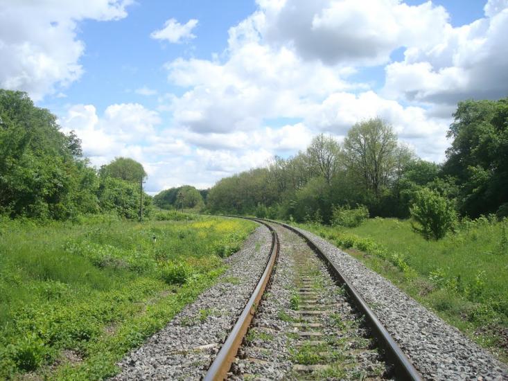 Жищинці з panoramio.com - Жищинці