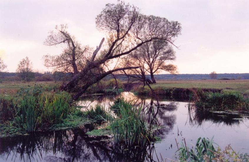 Мерефа з panoramio.com - Мерефа