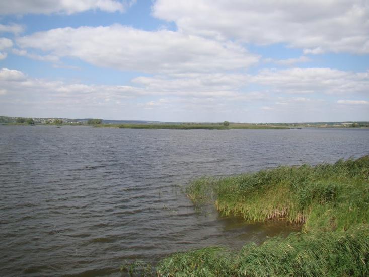 Рідний Край з panoramio.com - Рідний Край