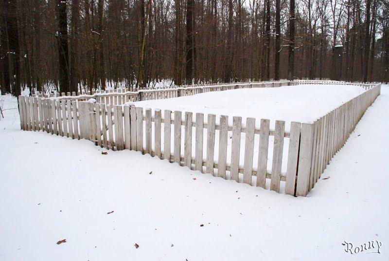 Довжик з panoramio.com - Довжик