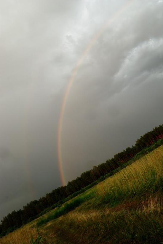 Лукищина з panoramio.com - Лукищина
