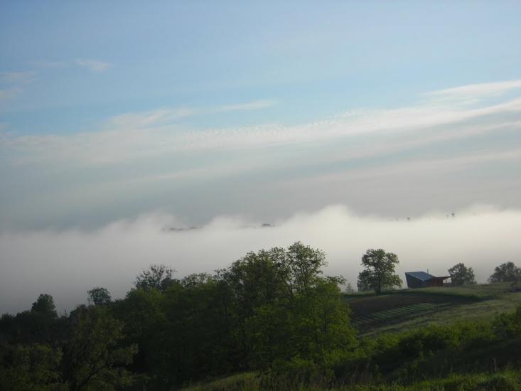Музичі з panoramio.com - Музычи