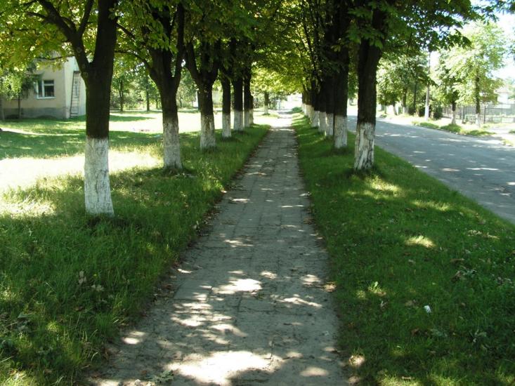 Любомль з panoramio.com - Любомль
