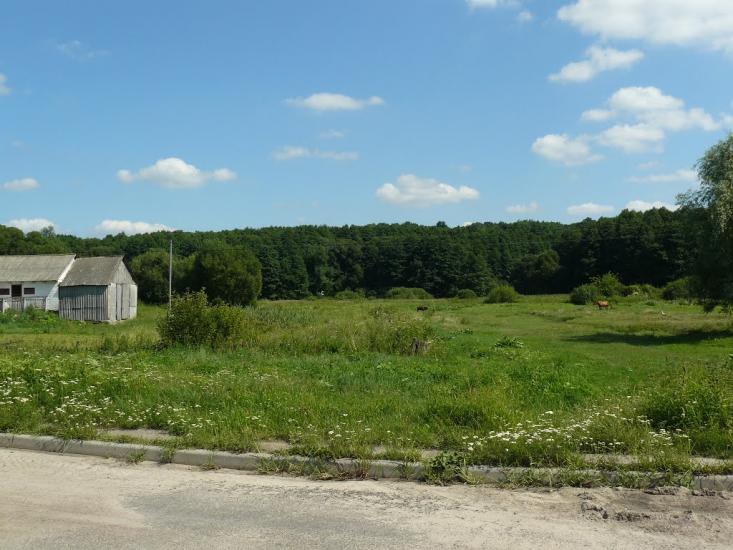 Сніжки з panoramio.com - Сніжки