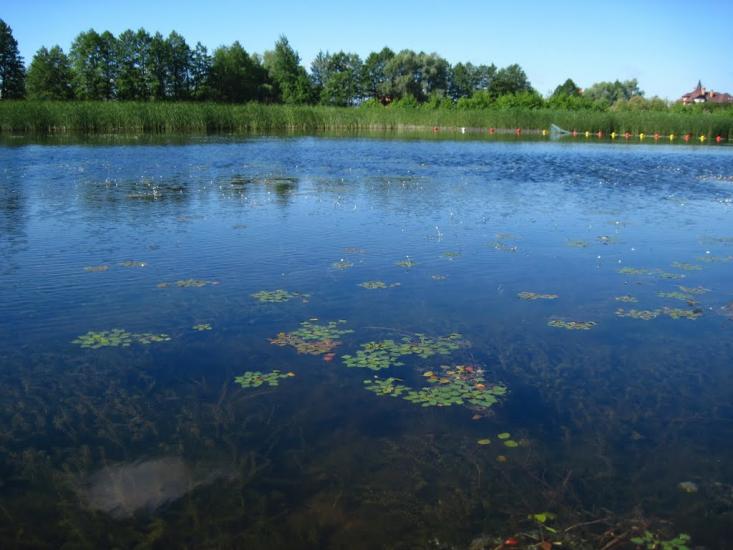 Кийлів з panoramio.com - Кийлов