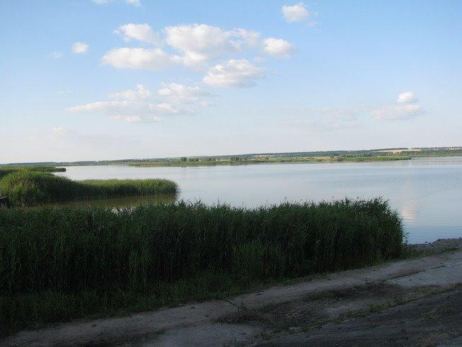 Вільшанське з panoramio.com - Vilshanske