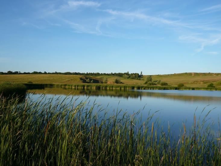 Стуфчинці з panoramio.com - Стуфчинцы