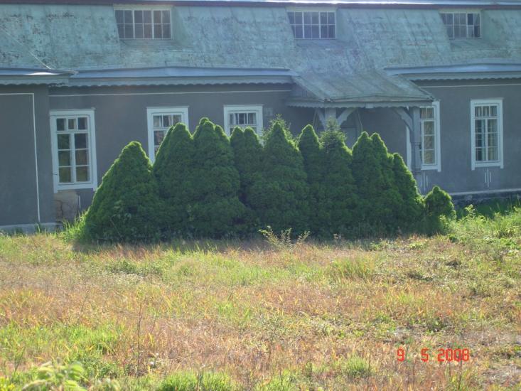 Городище з panoramio.com - Городище
