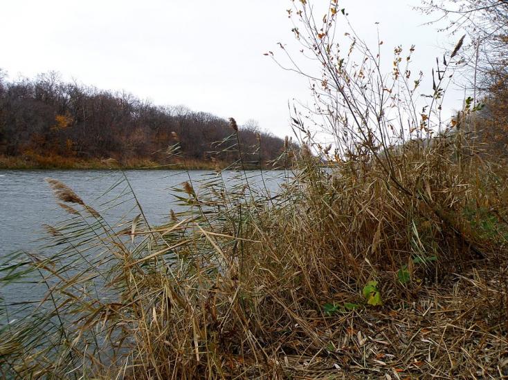 Кружилівка з panoramio.com - Kruzhylivka