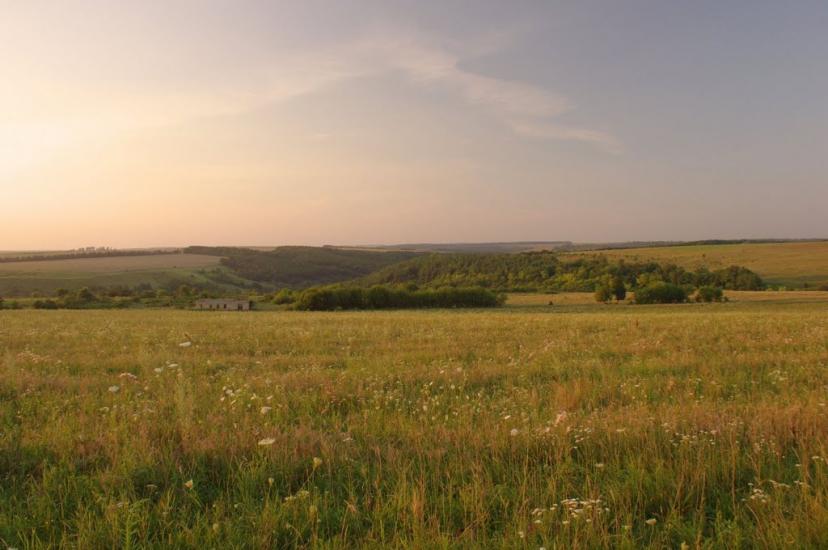 Браїлівка з panoramio.com - Брайловка
