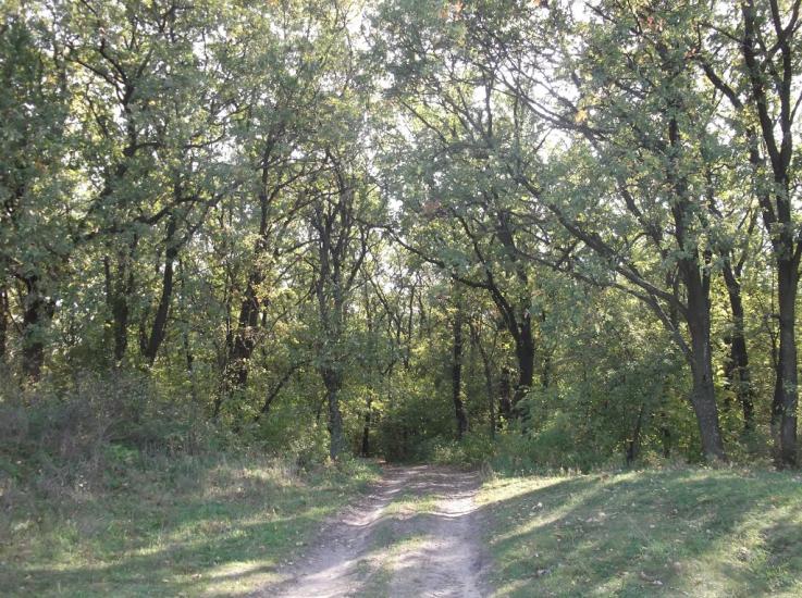 Хащеве з panoramio.com - Хащеве