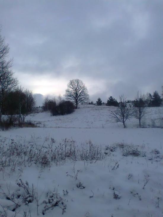 Вербовець з panoramio.com - Вербовець