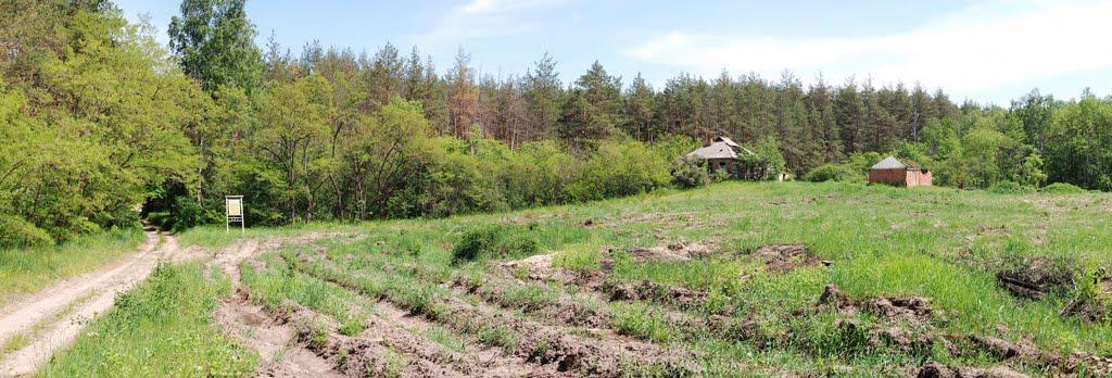 Скрипаї з panoramio.com - Скрипаї