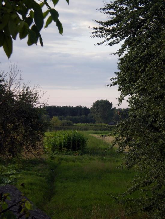Облапи з panoramio.com - Oblapy