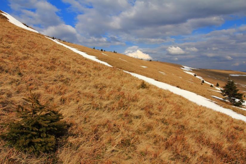 Завийка з panoramio.com - Завийка