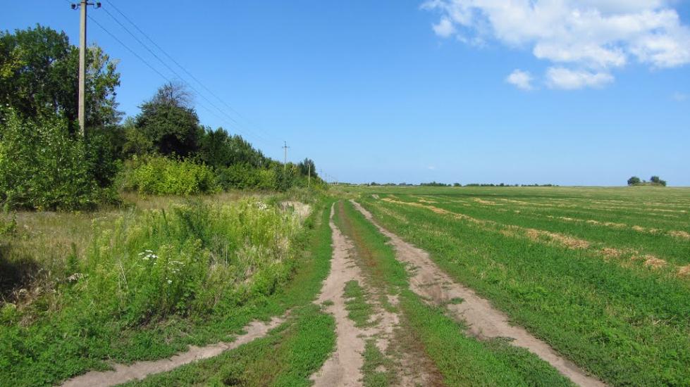 Максимівка з panoramio.com - Максимівка