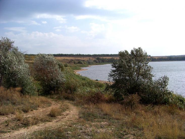 Розанівка з panoramio.com - Розанівка