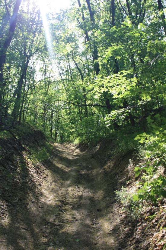 Велика Бурімка з panoramio.com - Великая Буромка