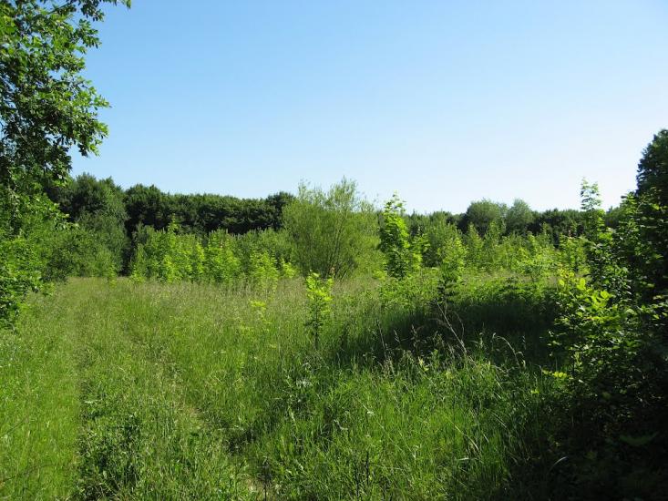 Радянське з panoramio.com - Радянське