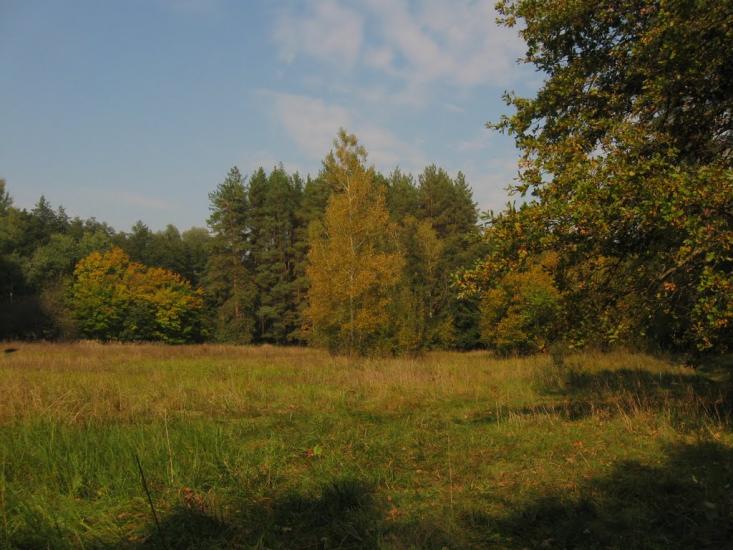 Серебрянка з panoramio.com - Serebryanka