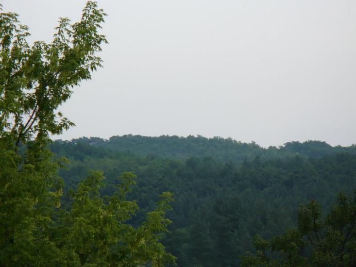Барвінкове з panoramio.com - Барвенково