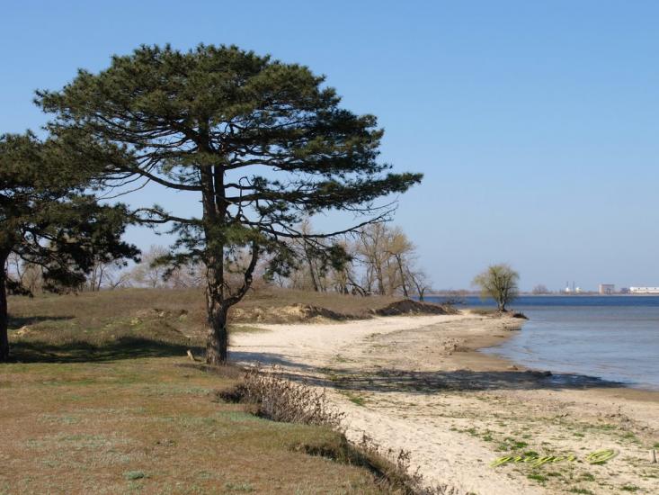 Малокаховка з panoramio.com - Малокаховка