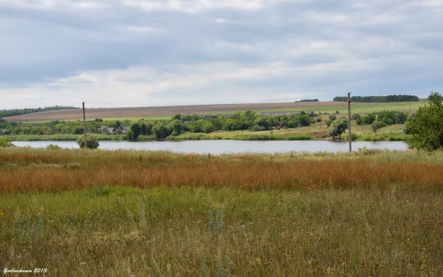 Новгородське з panoramio.com - Новгородське