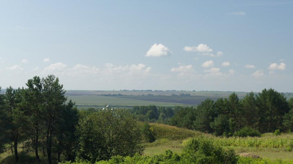 Борщівка з panoramio.com - Борщівка