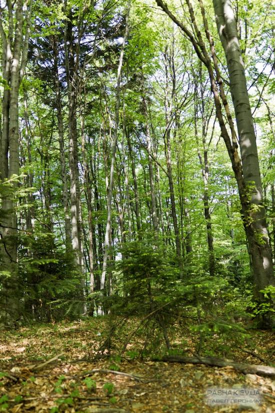 Манява з panoramio.com - Манява