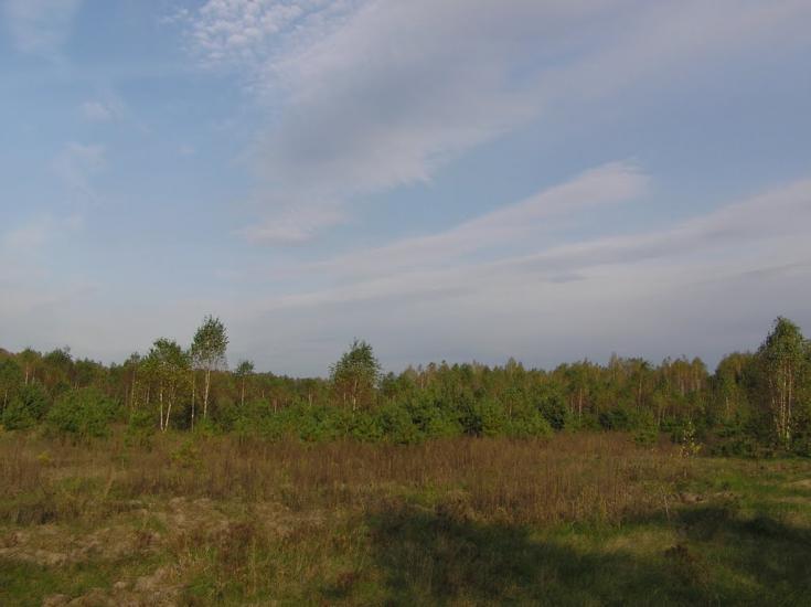 Струмок з panoramio.com - Струмок