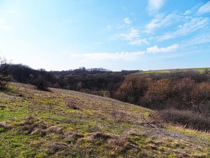 Юнокомунарівськ з panoramio.com - Юнокомунаровск