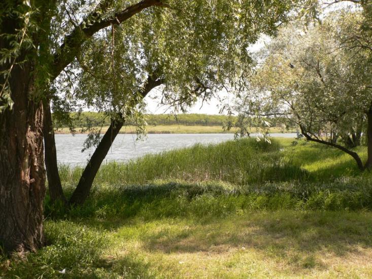 Лутугине з panoramio.com - Лутугино