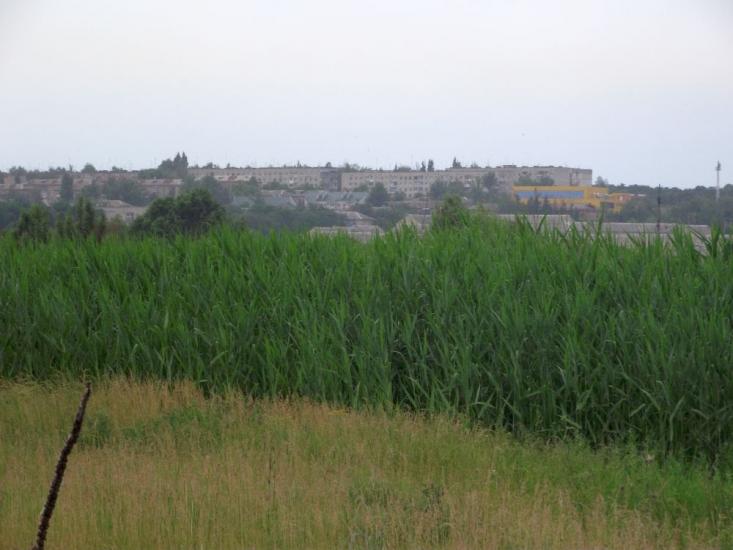 Червоний Донець з panoramio.com - Червоный Донец