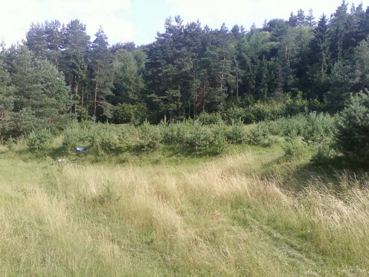 Словіта з panoramio.com - Словіта