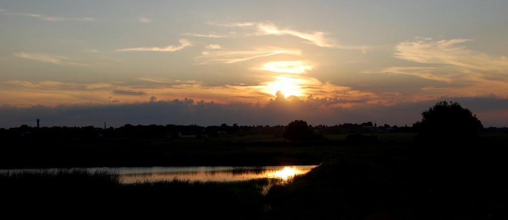 Рогізне з panoramio.com - Рогозное