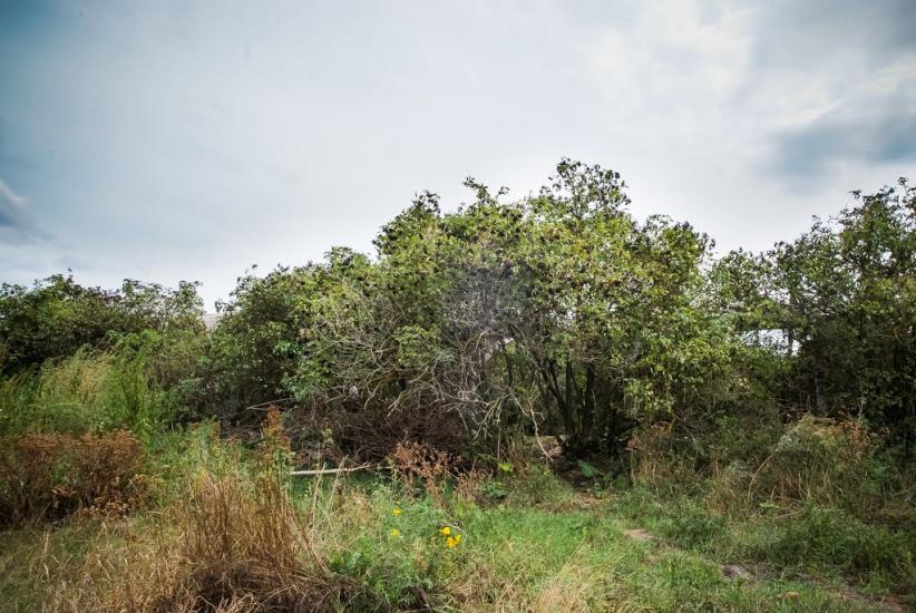 Гожули з panoramio.com - Гожулы