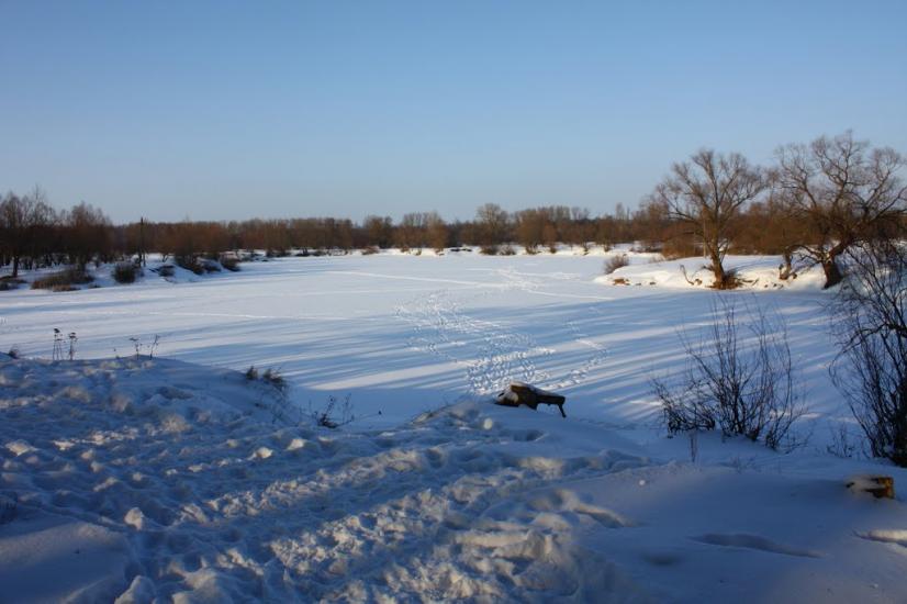 Таранське з panoramio.com - Taranske