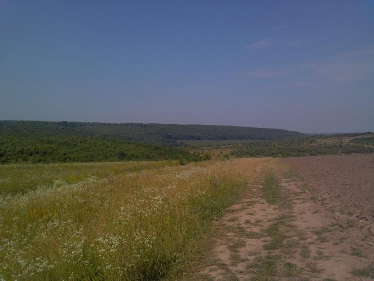 Добряничі з panoramio.com - Dobryanychi