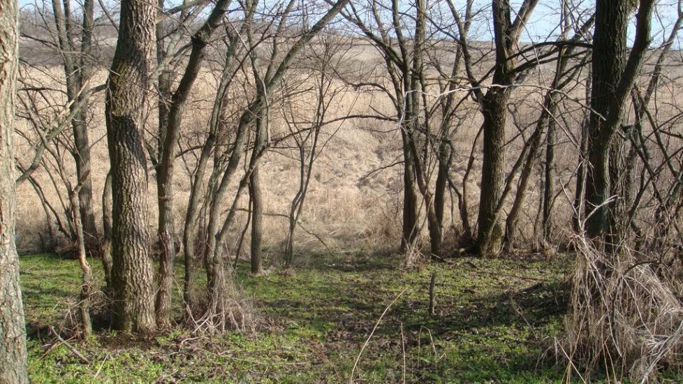 Нижньокринське з panoramio.com - Нижньокринське