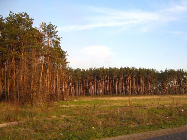 Богданівка з panoramio.com - Богдановка