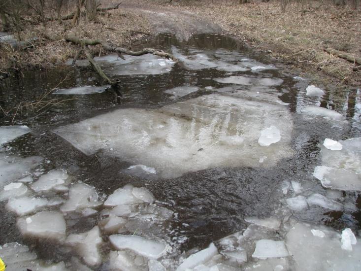 Підлісне з panoramio.com - Pidlisne