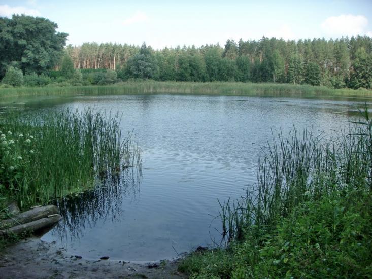 Підлиман з panoramio.com - Pidlyman